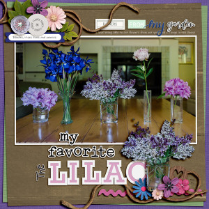 MOC Jan 22 Large photo with pop out