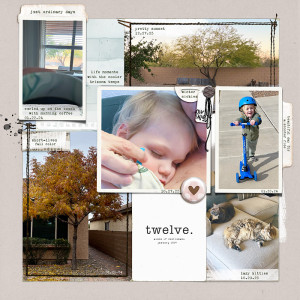 MOC12-20-moments-copy