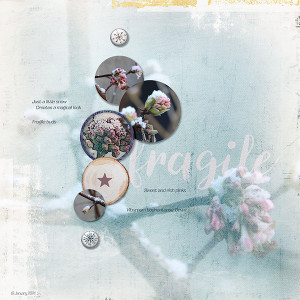Fragile