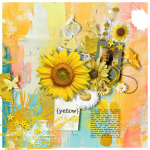 JANUARY 23 - CONNECTING WITH COLOR