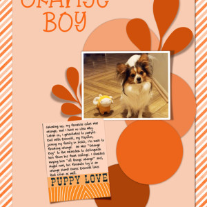 January-23---Connecting-with-Color---Orange-Boy