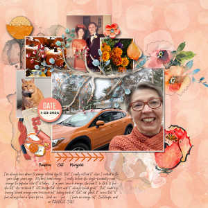 23-January-Connecting-with-ColorWEB