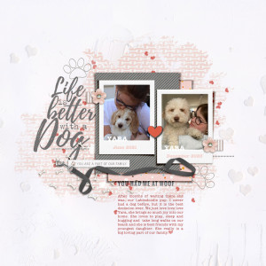 MOC12-10 Doglife