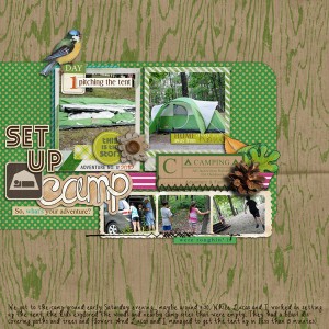 Set Up Camp