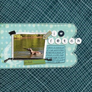 iLoveFetch