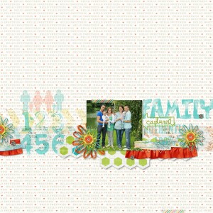 family of 6