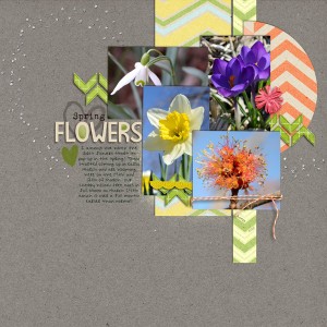 Spring Flowers