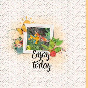 EnjoyLife(MOCDay24)