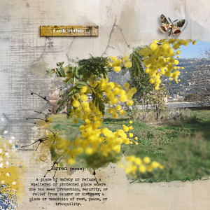 January-24--Blurring-the-Foreground
