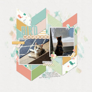 January 24 - Blurring The Foreground