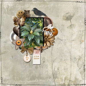 January 12 Everything Connected Resize