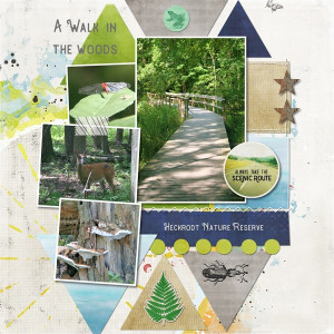 MOC 12 Day 25 A Walk In The Woods