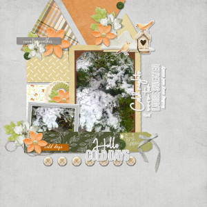 January 25. Combine 2 templates