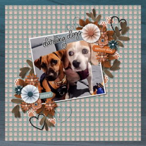 1-12-24 Everything Connected - Darling Dogs
