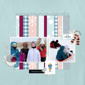 Sleddingweb9