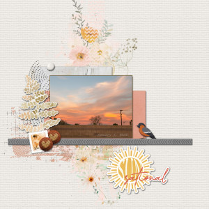 January 19  Paper 2 Digi Resize