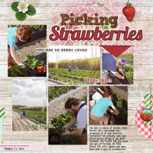 Picking Strawberries (right)