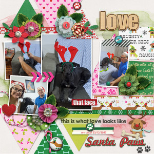 MOC-25_12 (santa paws)