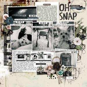 Oh Snap [MOC12 January 20: Moments In Your Life]