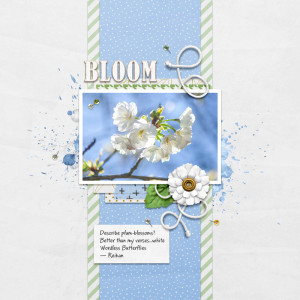 January 28 - Blind Scrap Challenge