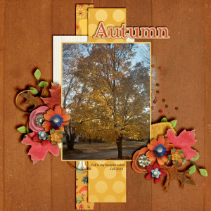Autumn