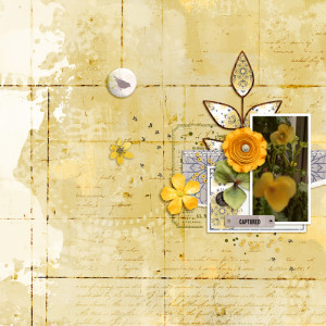 January 24 - Blurring the Foreground