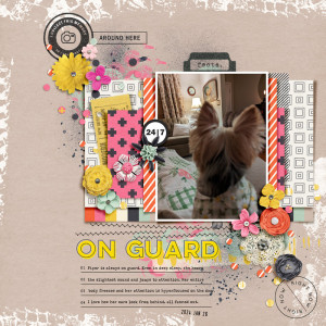 On Guard [MOC12 January 24: Blurring The Foreground]