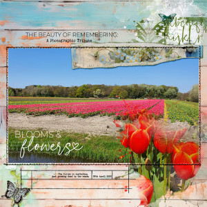 Flowers_22