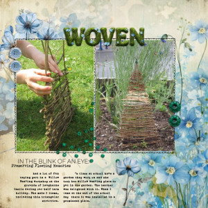 Willow Weaving