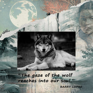 The-Wolf