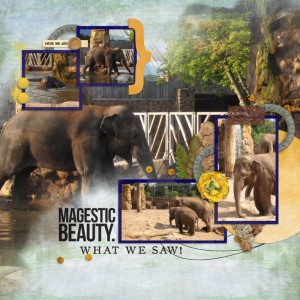 Elephants