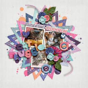 FF_feb9_BG_SwL_Cat Snuggle