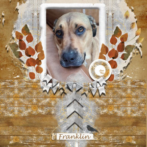 Franklin