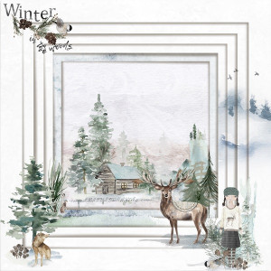 Winter In The Woods