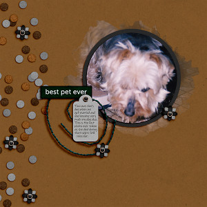 LOD_Studio Liv_Best Pet