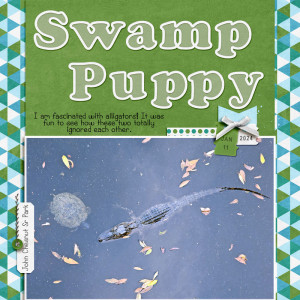 Swamp Puppy