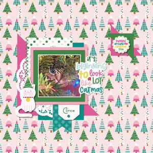 Circe Purring Around The Christmas Tree