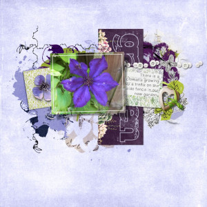 Clematis