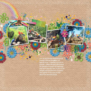 Feb 2024 Muse 2 - Rainbow