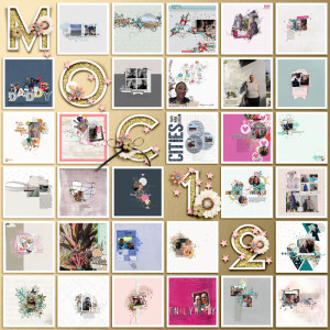 TLP_Jan24_MOC12_All