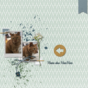LOD Joyce Paul Designs