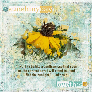 Be Like A Sunflower