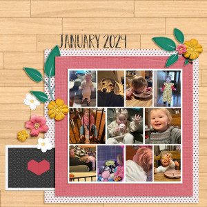 January 2024 Favorites