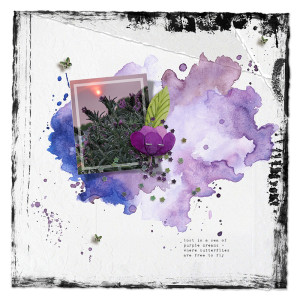 NBK SOSN 0221 Purple-dreams