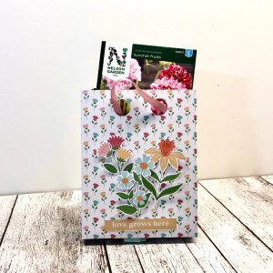 Gift bag - hybrid - front