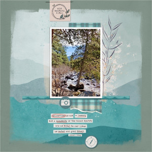 Wilderness