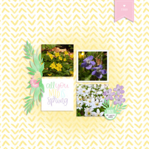 All you need is spring