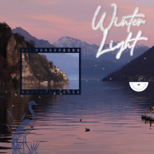 240203_light