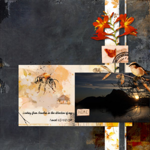 240203_home