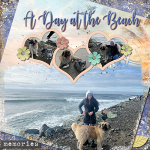 2024-02-TLP-Template-Challenge